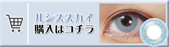 スカイ購入はコチラ