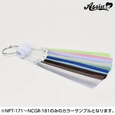 Premium　新色カラーサンプル　全11色　2024年1月版