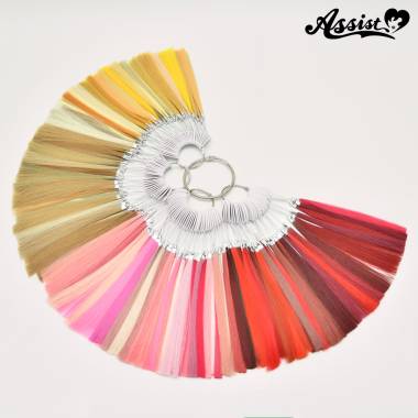 Basic　カラーサンプル　No.2