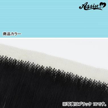 生え際パーツ　シーソルト　NMBM-69