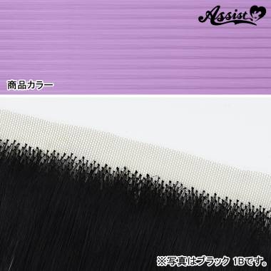 生え際パーツ　アメジスト　NPPA-9