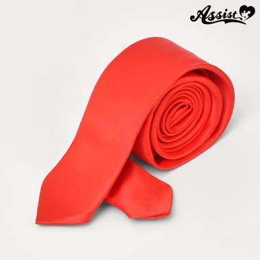 カラーネクタイ　レッド