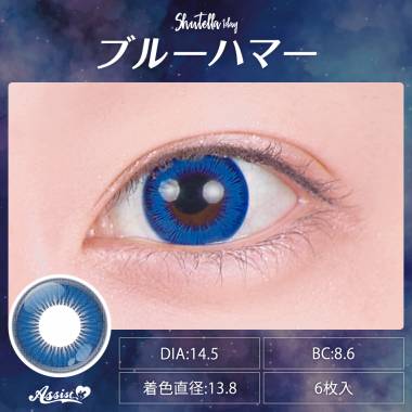 Assist ChouChou Shutella 1Day　ブルーハマー