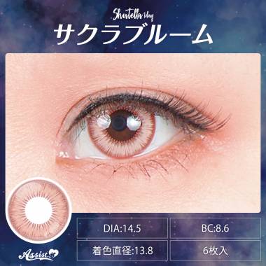 Assist ChouChou Shutella 1Day　サクラブルーム